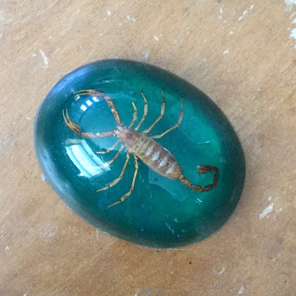 Vintage scorpion paperweight